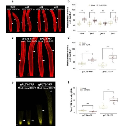 山田昌史 YAMADA, MASASHI