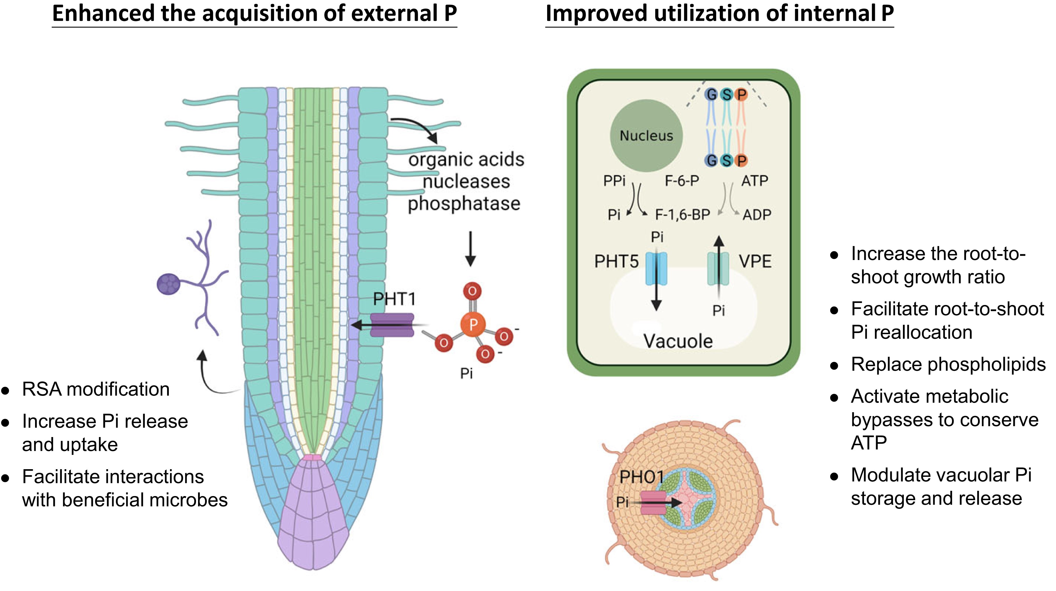 邱子珍 CHIOU, TZYY-JEN