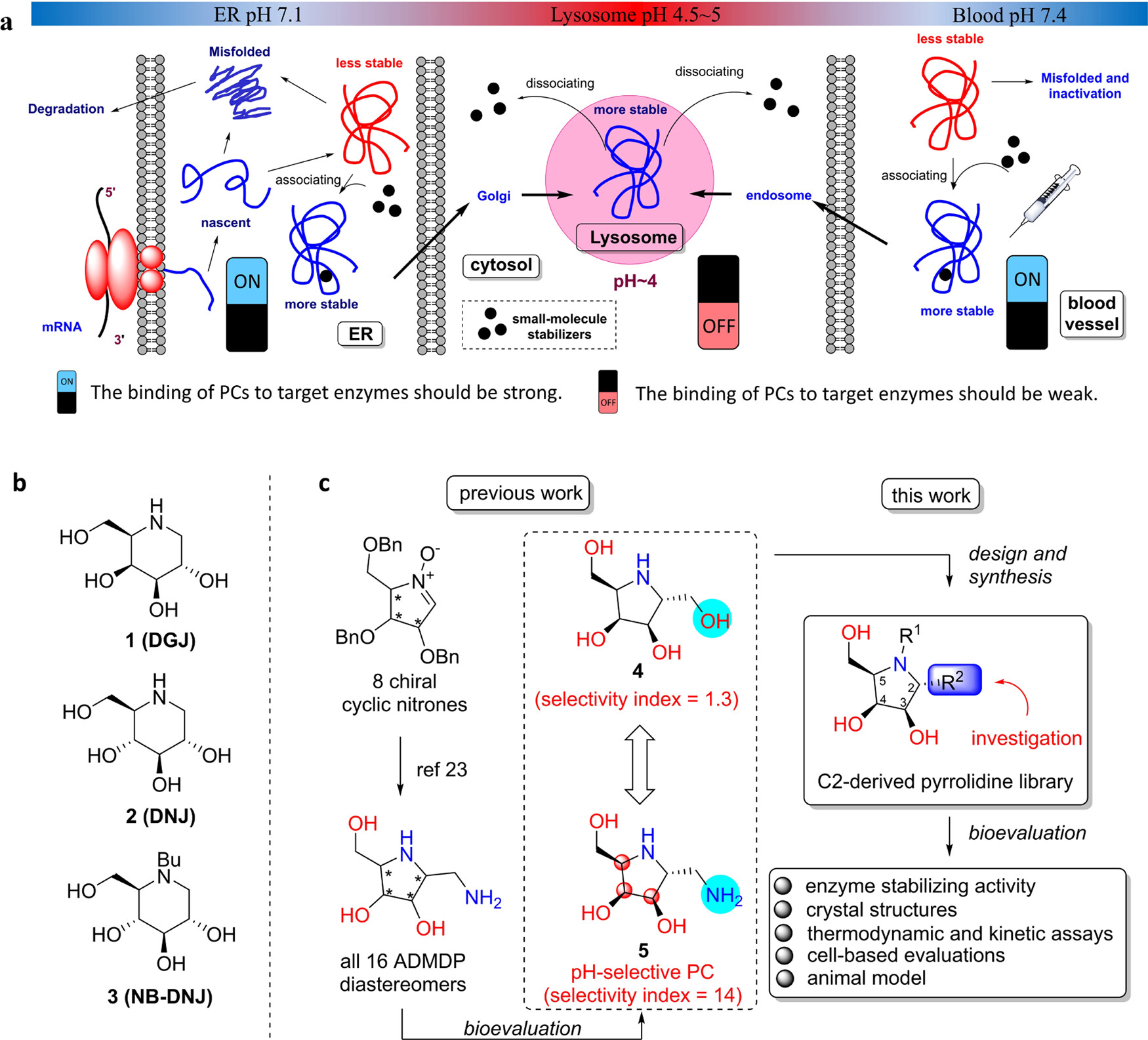 鄭偉杰 CHENG, WEI-CHIEH
