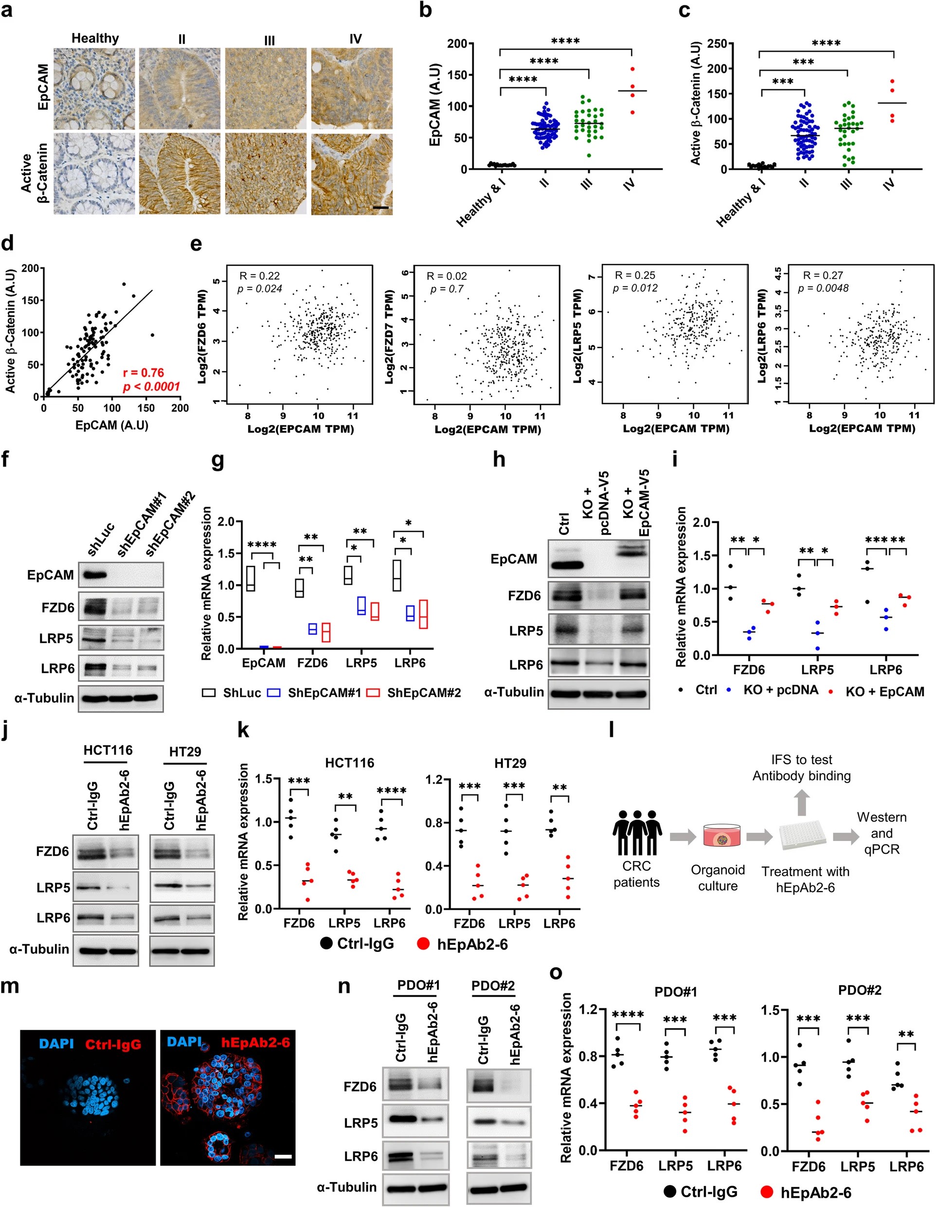 吳漢忠 WU, HAN-CHUNG