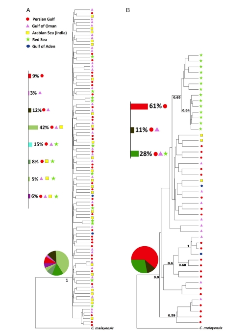 陳國勤 CHAN, KWOK-KAN