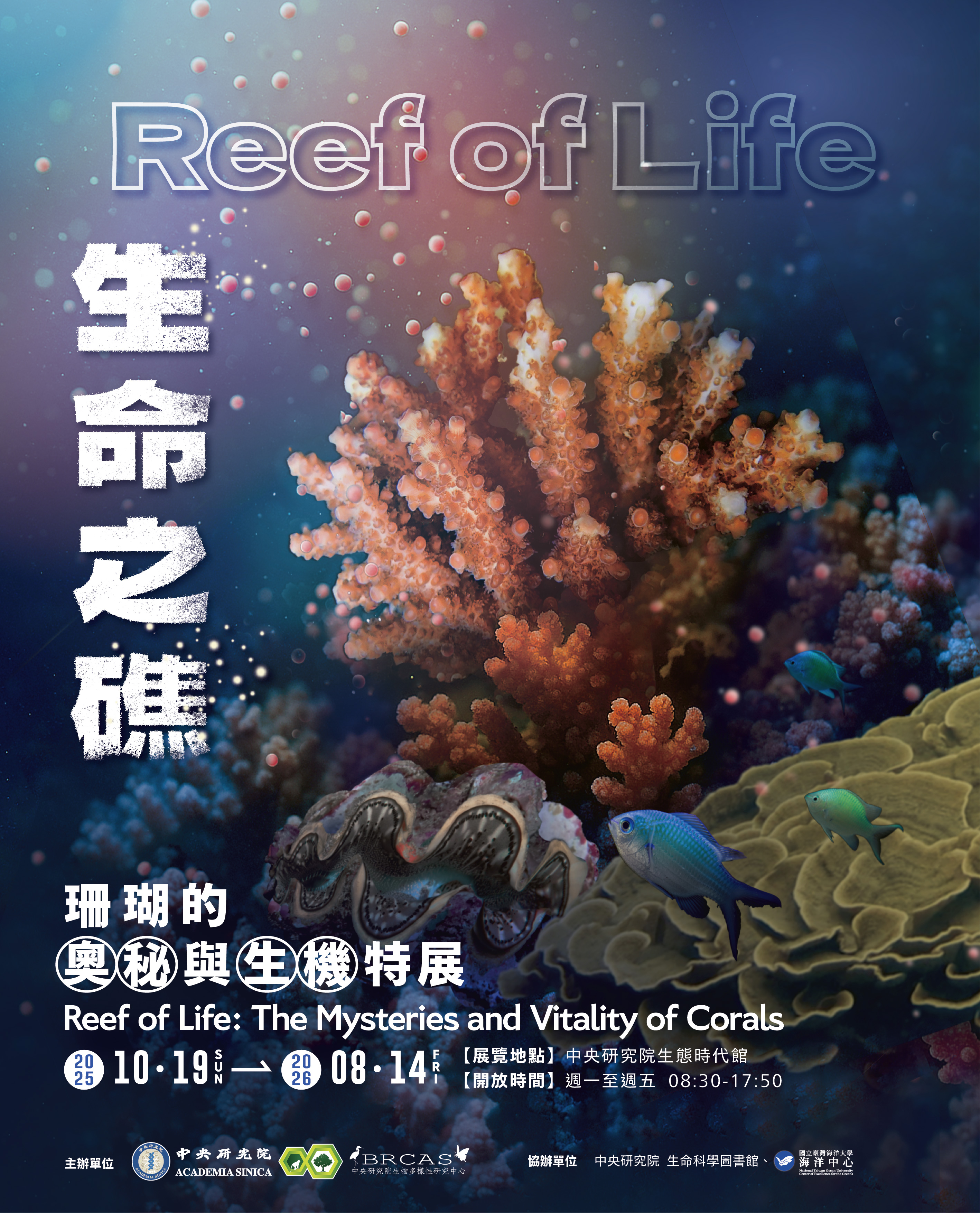 Go to Reef of Life:The Mysteries and Vitality of Corals