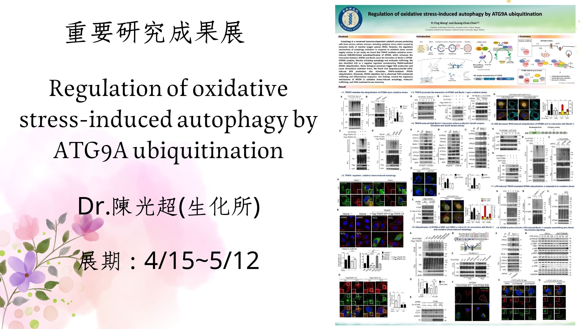 【重要研究成果展】Regulation of oxidative stress-induced autophagy by ATG9A ubiquitination (Dr.陳光超) 圖片