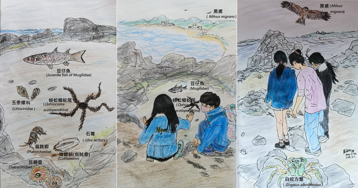 〔生圖推廣誌〕北海岸的豐富生物相 圖片
